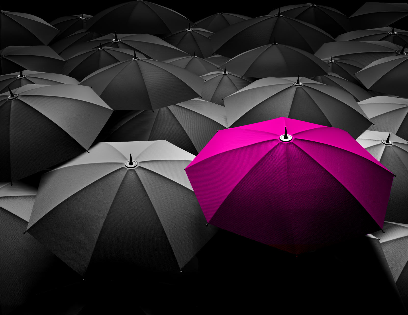 Umbrella motif for Ipinx mobile friendly website design, Pembrokeshire