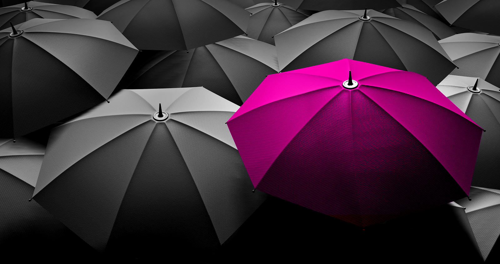 Umbrella motif for Ipinx mobile website design and software, Pembrokeshire
